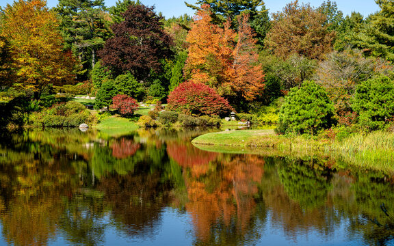 Beautiful Japanese garden with trees and rocks in autumn with perfect reflections in water under a sunny day	