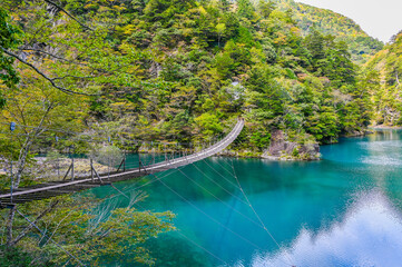 静岡県寸又峡の夢のつり橋