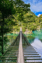 Obraz premium 静岡県寸又峡の夢のつり橋