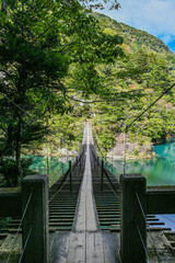 Obraz premium 静岡県寸又峡の夢のつり橋