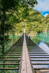 Obraz premium 静岡県寸又峡の夢のつり橋