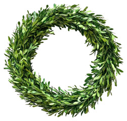 PNG Christmas green wreath decoration botanical ornament.