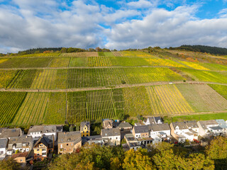 Aerial view of vineyards in Enkirch village at Moselle river region in Germany