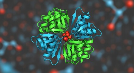 3d molecular model of a protein quaternary structure