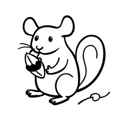 Adorable chinchilla holding a seed