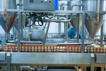 Inspector checking automated machinery in food production facility Focus on quality control safety and workflow efficiency. Worker overseeing food packaging machinery in a modern manufacturing plant.