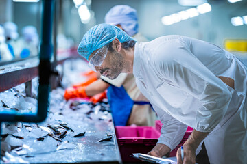 A Quality Assurance QA inspector audits a fish processing line for HACCP compliance. He is monitoring the smart factory's automated system and manual sorting.