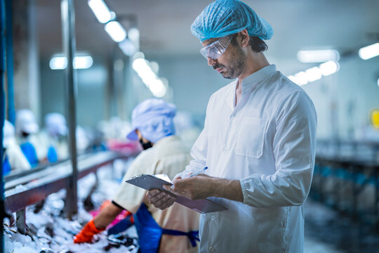 A male inspector in a white coat and hairnet checks a fish processing line. He is writing on a clipboard while other workers sort fish on a conveyor with ice.