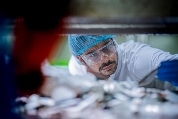 A focused male inspector in a lab coat, hairnet, and gloves inspects a single raw fish. He is doing a quality control check in a food processing factory.