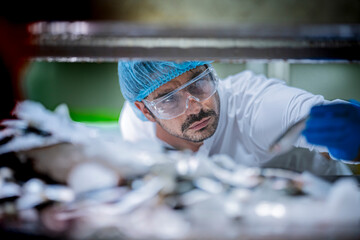 A focused male inspector in a lab coat, hairnet, and gloves inspects a single raw fish. He is doing...