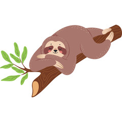 Cute Sloth Sleeping Peacefully on a Tree Branch with Green Leaves and a Transparent Background