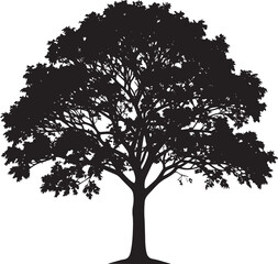 Fototapeta premium Gulmohar Tree Silhouette Vector Illustration