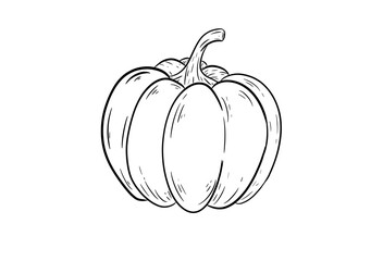 pumpkin digital illustration drawing isolated