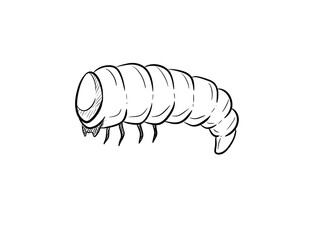 maggot digital illustration drawing isolated