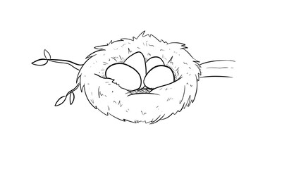 bird nest digital illustration drawing isolated