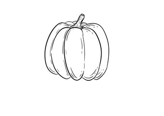 pumpkin digital illustration drawing isolated
