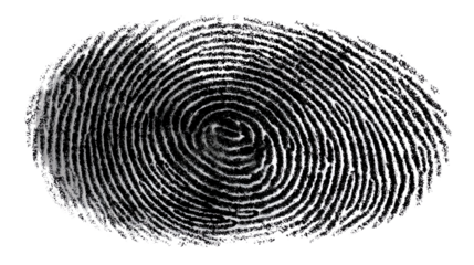 Fingerprint Close-Up: A detailed close-up of a unique fingerprint, showcasing the intricate patterns of ridges and swirls that identify individual identity.