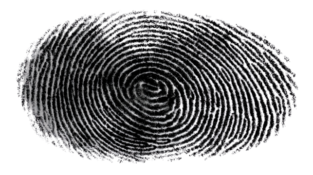 Fingerprint Close-Up: A detailed close-up of a unique fingerprint, showcasing the intricate patterns of ridges and swirls that identify individual identity.