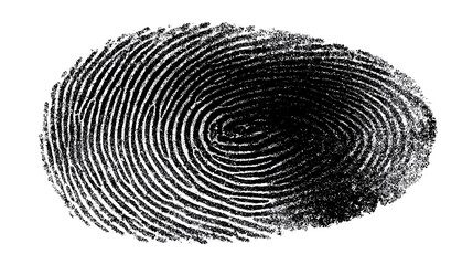 Intricate Fingerprint Detail: A close-up view reveals the complex, unique ridges of a fingerprint, symbolizing identity and individuality.