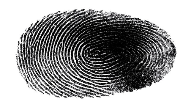 Intricate Fingerprint Detail: A close-up view reveals the complex, unique ridges of a fingerprint, symbolizing identity and individuality.