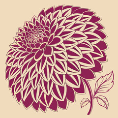  Complex Dahlia Duotone Vector Illustration