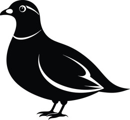 northern bobwhite silhouette vector, Northern bobwhite line art silhouette vector illustration design