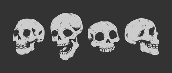 Set of engraved skull faces, Vintage vector illustration.