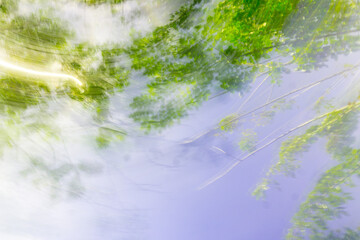 Beautiful morning view indonesia Panorama Landscape paddy fields with beauty color and sky natural light