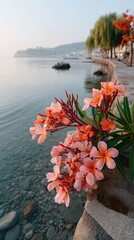 Delicate Coral Pink Flowers with Water Droplets Bloom Beside a Clear Blue Ocean at Sunrise with Green Trees Lining the Shoreline and a Distant Townscape
