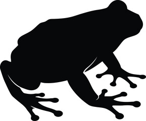 Silhouette frog animal wild nature wildlife amphibian reptile creature black shape vector