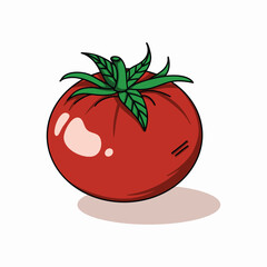 Tomato digital illustration design vector