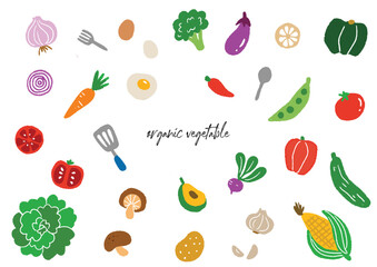 お洒落な手描きの野菜のイラストセット