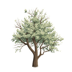 Cute big green tree, watercolor isolated element nature for your cartoon design. Hand-drawn symbol ecology and life.