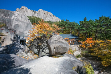 Wonderful autumn colours of the trees in the National Park near Sokcho