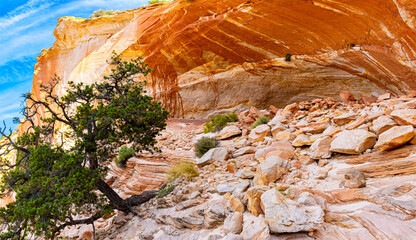 Bright Orange Streaks of Desert Varnish on The White Cliffs, Mansard Great Diverse Trail, Utah, USA
