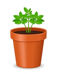 Obraz premium Digitally rendered potted plant with bright green leaves and brown soil