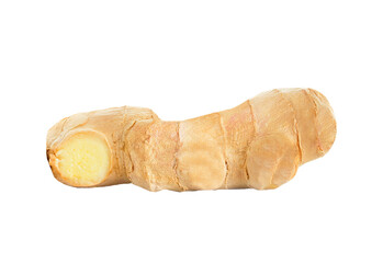 Fresh ginger root isolated on transparent background
