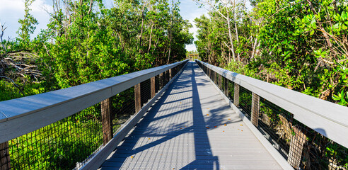 Boardwalk Through Mangrove Forest To Fishing Pier, Lovers Key State Park, Florida, USA