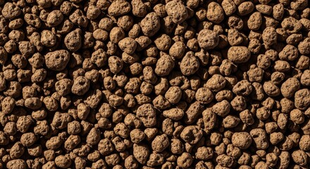 Closeup macro shot of small, textured, brown, round, granular material, possibly soil, compost, or pet food pellets