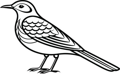 Obraz premium Wagtail Bird Illustration. Small Songbird Design. Elegant Wagtail Bird Artwork. Wild Wagtail Bird Outline. Flying Wagtail Bird Drawing. Beautiful Wagtail Bird Silhouette