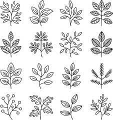 Collection of twelve black and white botanical line art elements