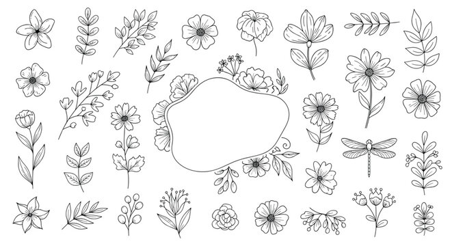 Hand-drawn botanical collection with delicate floral elements, leaves, and a decorative frame, suitable for vintage-themed designs and nature-inspired projects. - Powered by Adobe