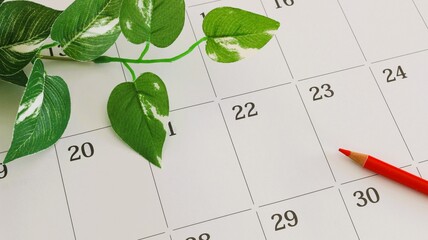 カレンダーと赤鉛筆　スケジュール管理　シフト調整　16:9