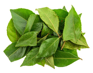 Obraz premium Dried Curry Leaves Isolated on White Background