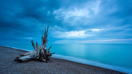 Blue-toned minimalist seascape with driftwood at twilight.