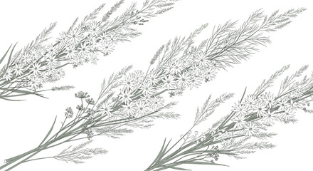 Set of elegant monochrome botanical illustrations showcasing wild star-shaped flowers and various grasses arranged in natural bouquets.