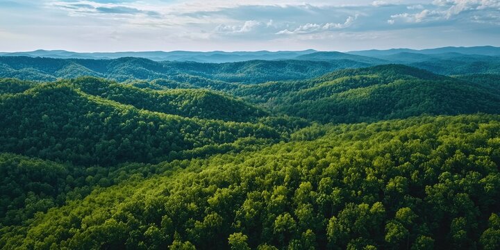 A vast, lush green forest with rolling hills and distant mountains under a clear blue sky with scattered clouds. - Powered by Adobe
