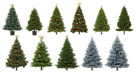 Collection 3D Christmas Trees Isolated on PNGs transparent background , Use for visualization in architectural design or garden decorate 10425703 1
