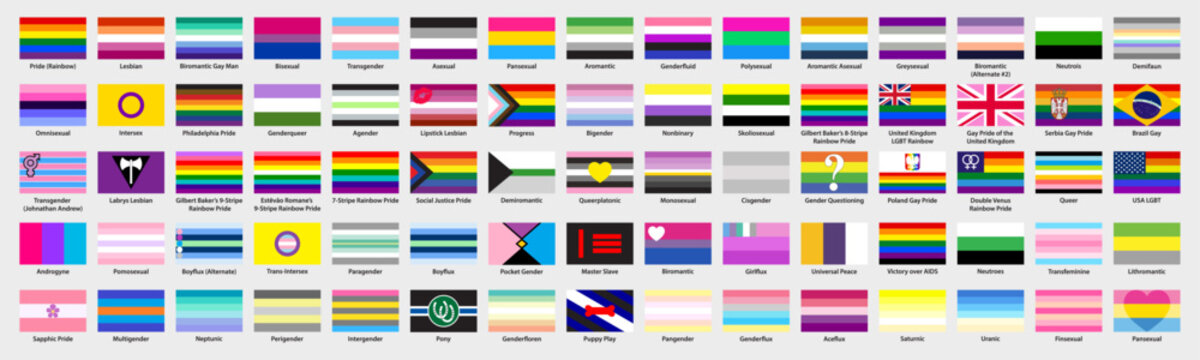 Collection of LGBTQ+ pride flags. Different pride flag meanings icon set vector. Pride flags with names graphic design elements. Vector illustration.
