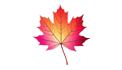 Stylized maple leaf fades from red to yellow. Black background. Veins marked with brown lines